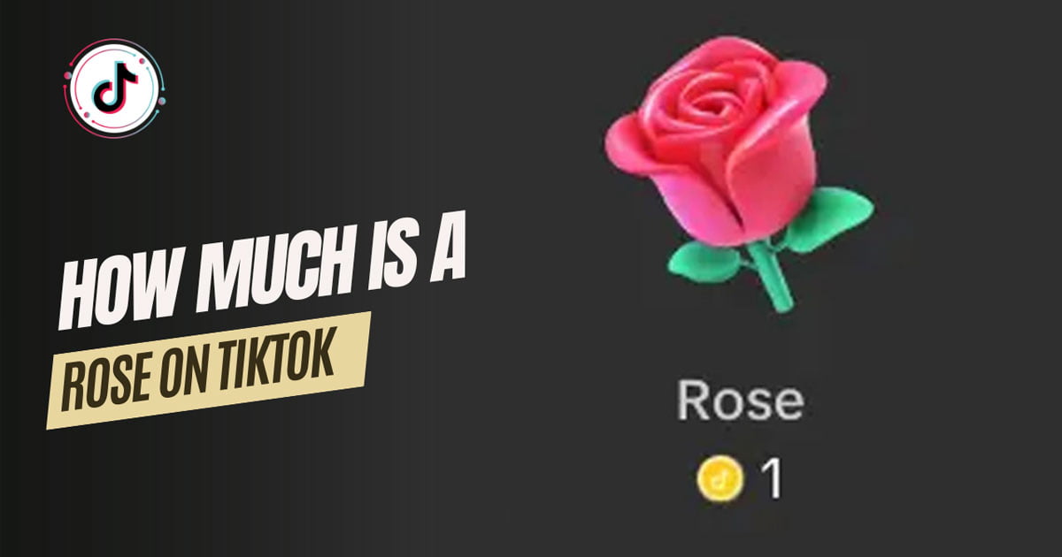 Gift Your Favorit Creator: How Much Is a Rose on TikTok