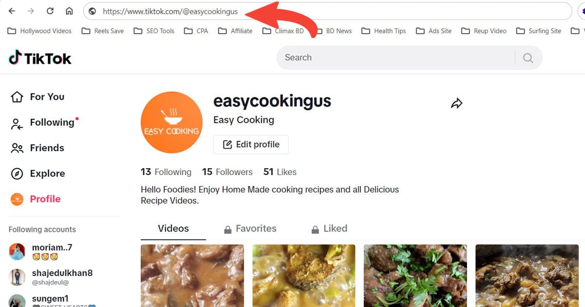 What Is My Tiktok URL? How do I find It?